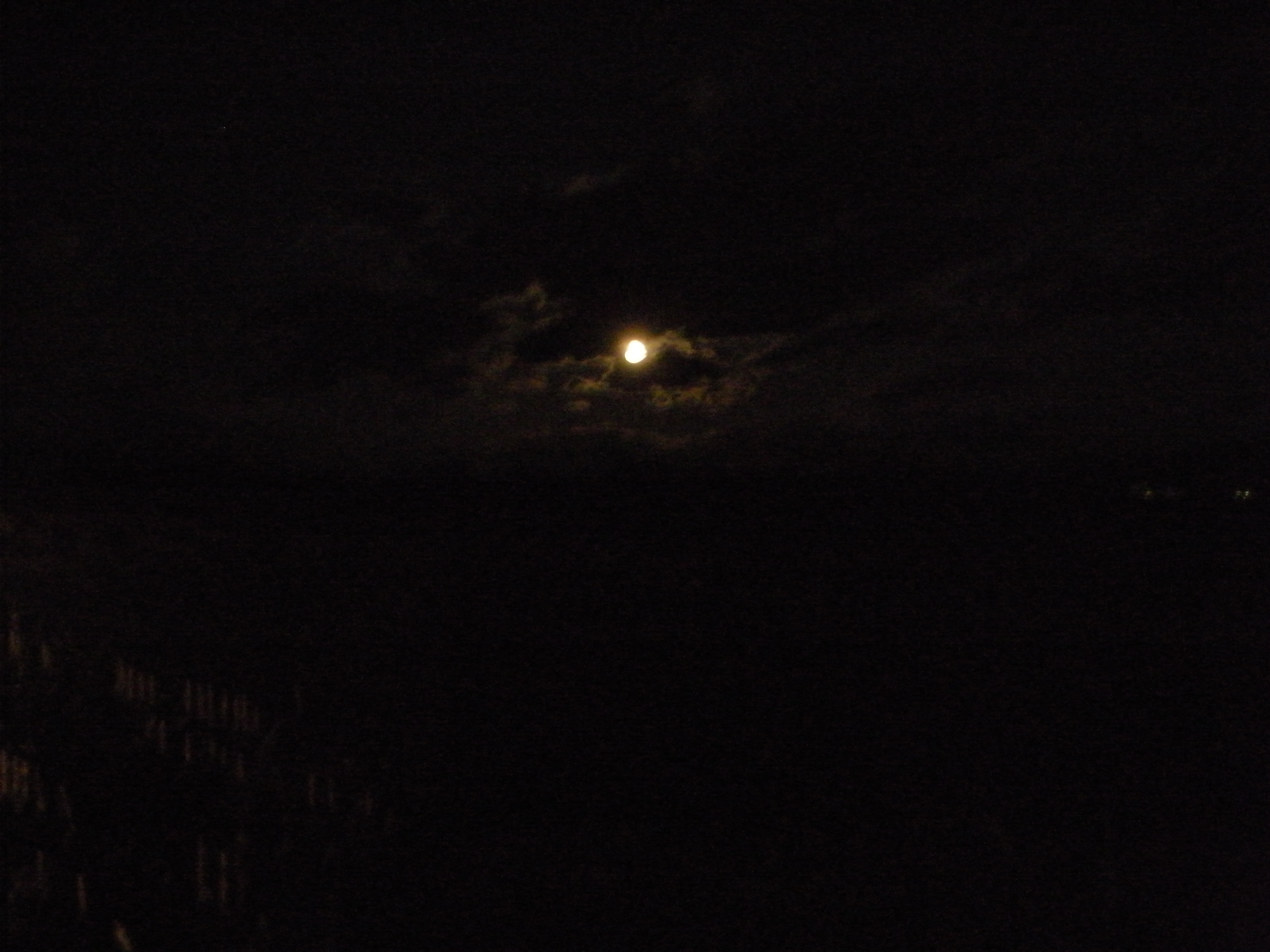 Photo Raven Eye Moon